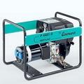 Бензиновая электростанция Eisemann Profiline 4401